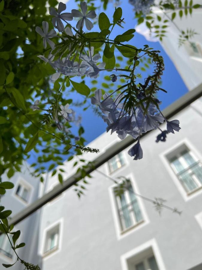 Hotel San Miguel Menorca Mahón Exteriör bild